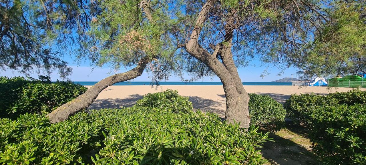 Hotel Le Maritime Argelès-sur-Mer Dış mekan fotoğraf