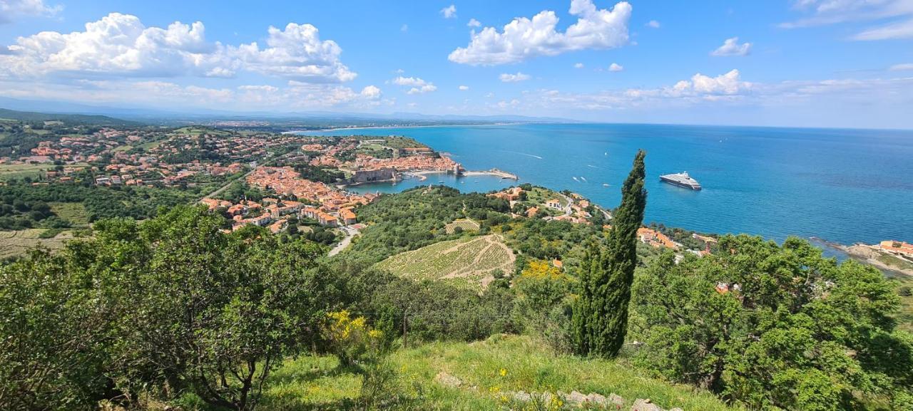 Hotel Le Maritime Argelès-sur-Mer Dış mekan fotoğraf