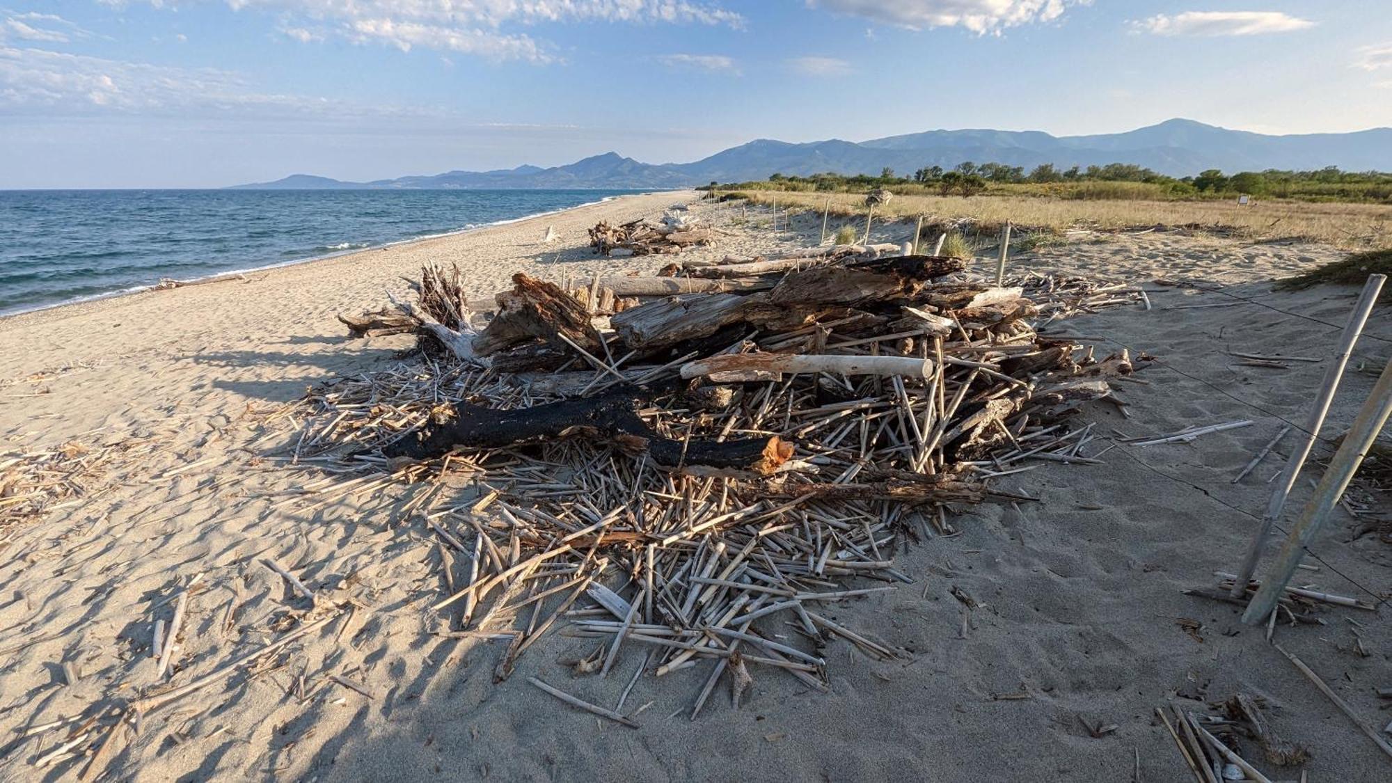 Hotel Le Maritime Argelès-sur-Mer Dış mekan fotoğraf